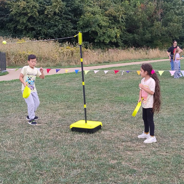 Swingball