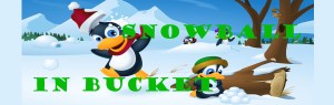 Snowball in Bucket Side Stall Banner